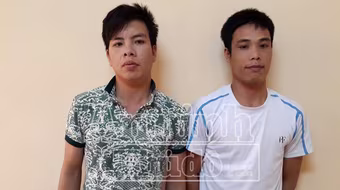 Thấy 2 trâu ngoài bờ đê "vắng chủ", hai nam thanh niên gọi xe tải đến bắt trộm