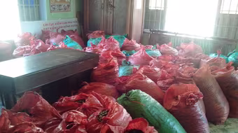 Bắt vụ vận chuyển trái phép quả ươi số lượng “khủng”