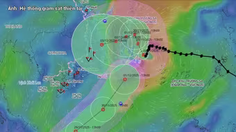 Các tỉnh ven biển chủ động ứng phó với áp thấp nhiệt đới trên biển