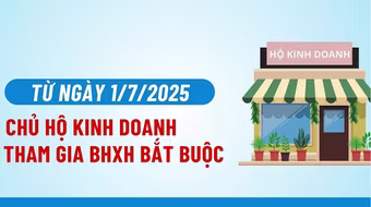 Hơn 12.300 chủ hộ kinh doanh đã đóng BHXH bắt buộc