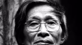 “Cội mai già lặng lẽ nở hoa”