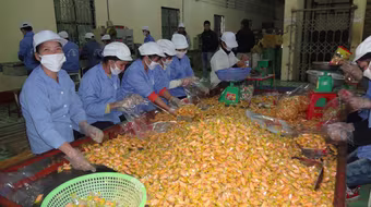 Sợ thực phẩm “3 không”