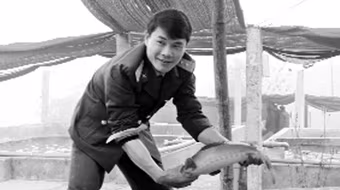 Đẹp như hoa cúc quỳ