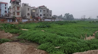 Chủ đầu tư dành 2.500m2 đất, lập nghĩa trang mới 