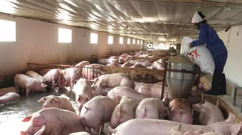 “Lơ lửng”  an toàn thực phẩm