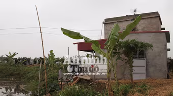 Ông Vươn vi phạm một số quy định về thuế