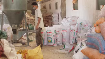 Thức ăn chăn nuôi nhập khẩu có chứa chất tạo nạc: Kẽ hở bấy lâu