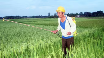 Kỳ lạ người đàn ông "nghiện" thuốc trừ sâu