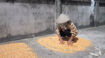 Ám ảnh làng “xin” con 