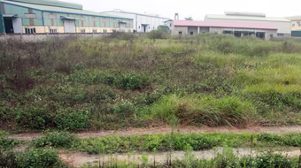 Khó chống lãng phí đất công