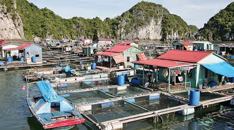 Đảo Nam Cát - vẻ đẹp hoang sơ, yên bình 