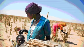 Phòng ngừa rủi ro