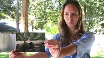 Mảng tối của truyền hình thực tế 