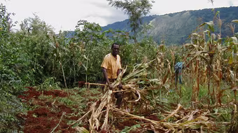 Rộng cửa WTO cho nước nghèo 