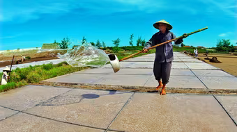 Ngày mới trên biển Thịnh Long