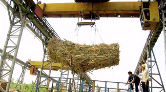 Sẽ nhập khẩu 80.000 tấn đường của Hoàng Anh Gia Lai ở Lào?