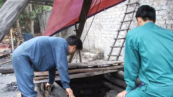 Cấp phép tràn lan gây thất thoát lớn