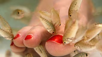 Làm đẹp “không đau”, chưa chắc an toàn 