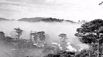 Đà Lạt - Thiên đường tình yêu đôi lứa