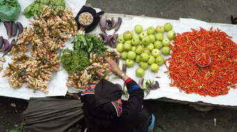 Họp chợ giữa mây trời 