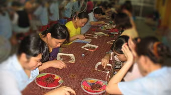 Tệ nạn mại dâm: Xử nặng kẻ kinh doanh