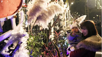 Vui đón Giáng sinh an lành