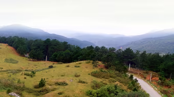 Đèo Phia Oắc - nơi thần tiên hoang dã 