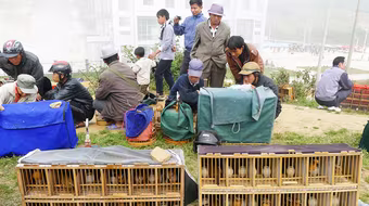 Chợ Họa Mi trên đường biên giới