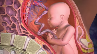 Lưu giữ tế bào gốc từ cuống dây rốn: Niềm tin vào điều kỳ diệu