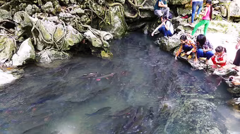 Thực hư về suối cá thần