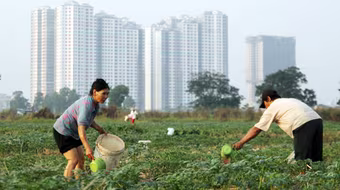 Cần hiến định chặt chẽ về thu hồi đất