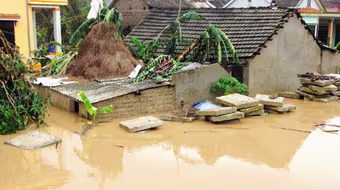 “Không được nhập nhằng trách nhiệm”