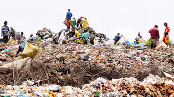 Nhiều sản phẩm thải loại buộc phải thu gom