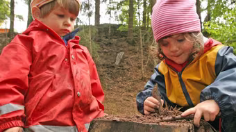 Tôi luyện trẻ trong rừng