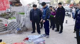 Đặt cược tự do