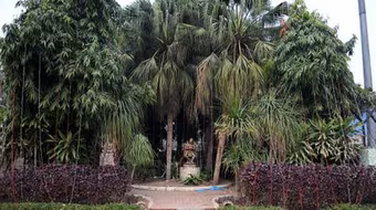 Bắt nghi phạm hiếp dâm tập thể nữ du khách 51 tuổi