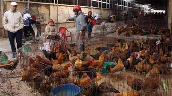 Người dân vẫn chủ quan