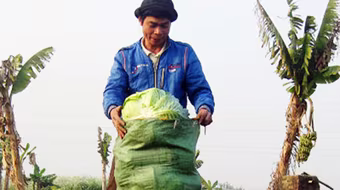 Hàng hóa ế ẩm, lạm phát hạ giảm, ai mừng, ai lo?