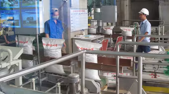 Xuất khẩu gạo không đủ tiền nhập khẩu ngô