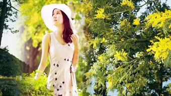 Ngợp trong sắc trinh nữ vàng