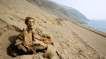 Những xác ướp kỳ bí vùng sa mạc Chile