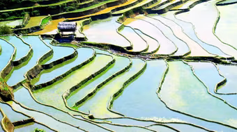 Hoang sơ vẻ đẹp Khao Mang