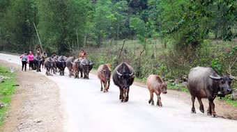 Đường mới Mường Lát, Sài Khao