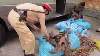 Bắt giữ gần 150kg gỗ sưa và đinh hương