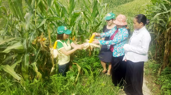 Việt Nam sẽ có thực phẩm biến đổi gene