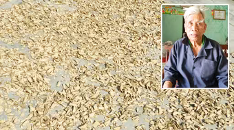 "Thần y" và phương thuốc từ thảo mộc cứu chữa dân nghèo