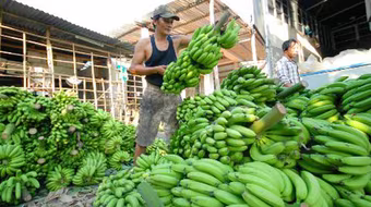 Doanh nghiệp có phần lo lắng