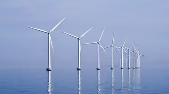 “Hàng hóa xanh” lên ngôi