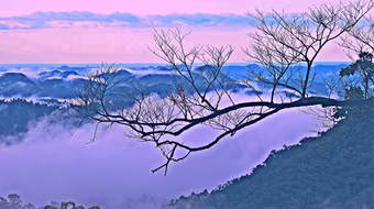 Tháng Tám đi qua những cung đường cách mạng