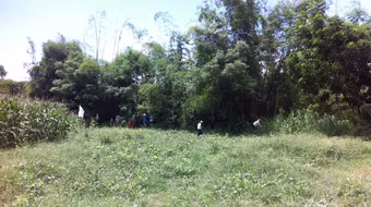 Quảng Ngãi: Phát hiện xác chết trên sông